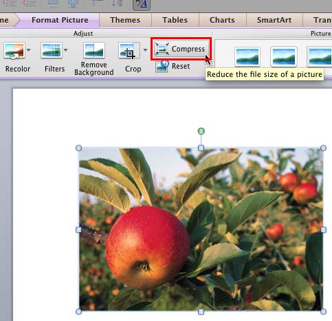 compress powerpoint for mac